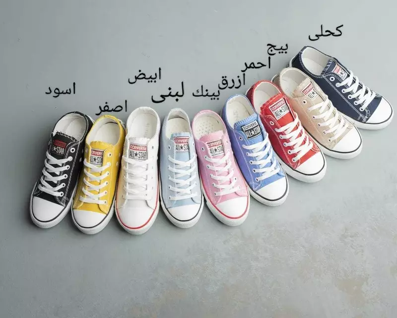 الكونفيرس الحريمي